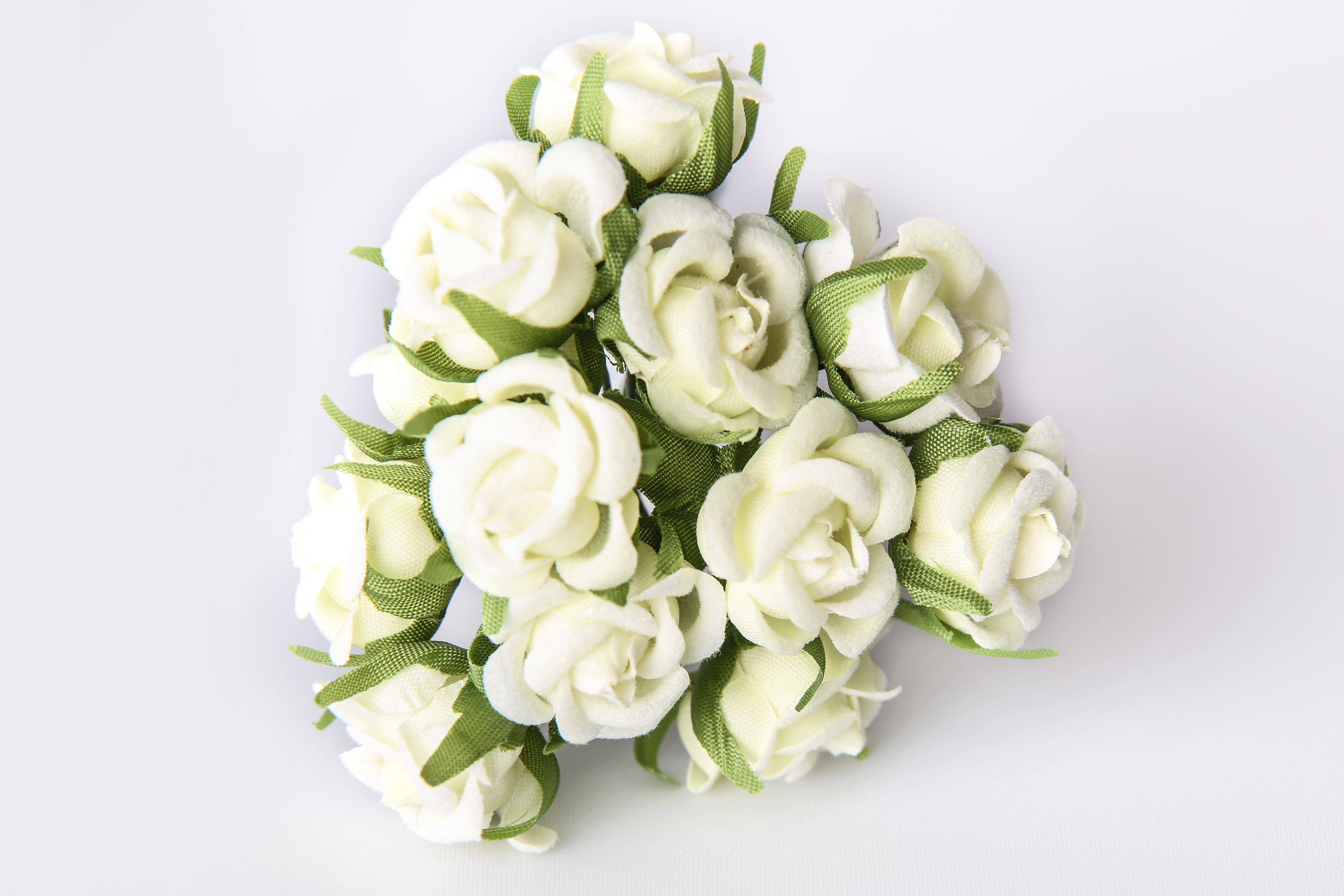 Kleinblumen Samtröschen, 22mm, 12 Stk./Bund, creme