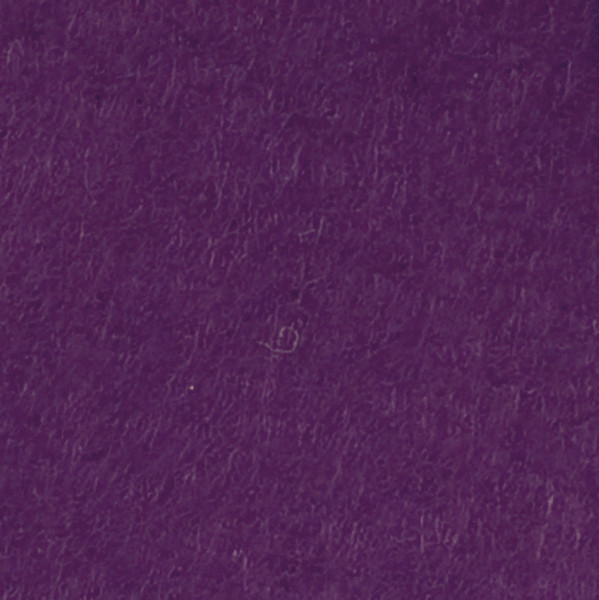 ZS aubergine