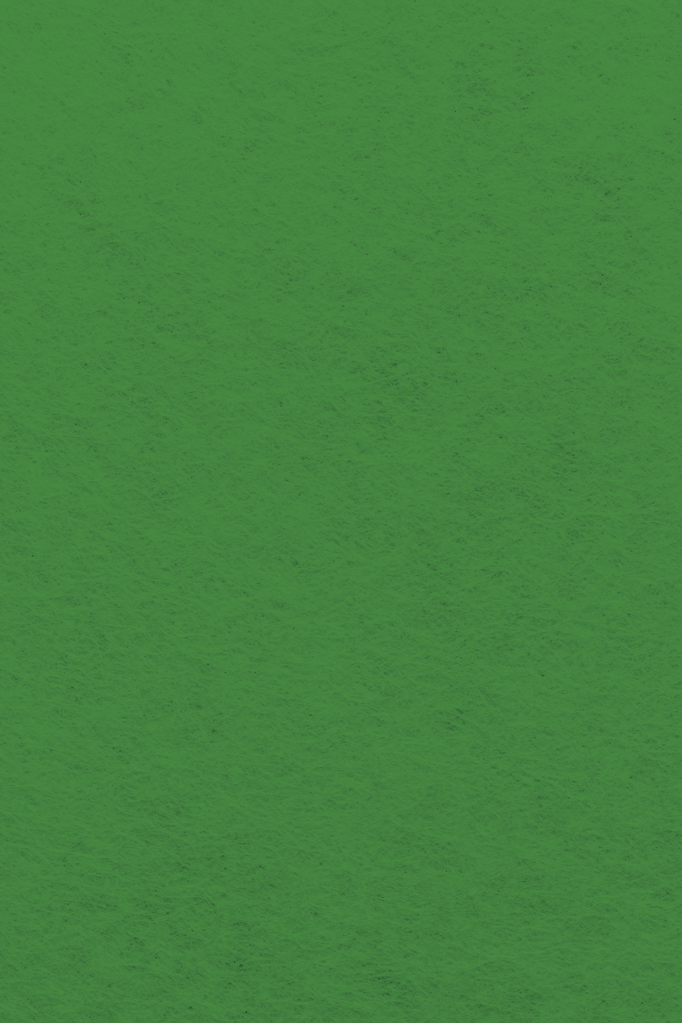 Bastelfilz Zuschnitt GRASGRÜN 1mm 20x30cm Bastelfilz Zuschnitt GRASGRÜN 1mm 20x30cm