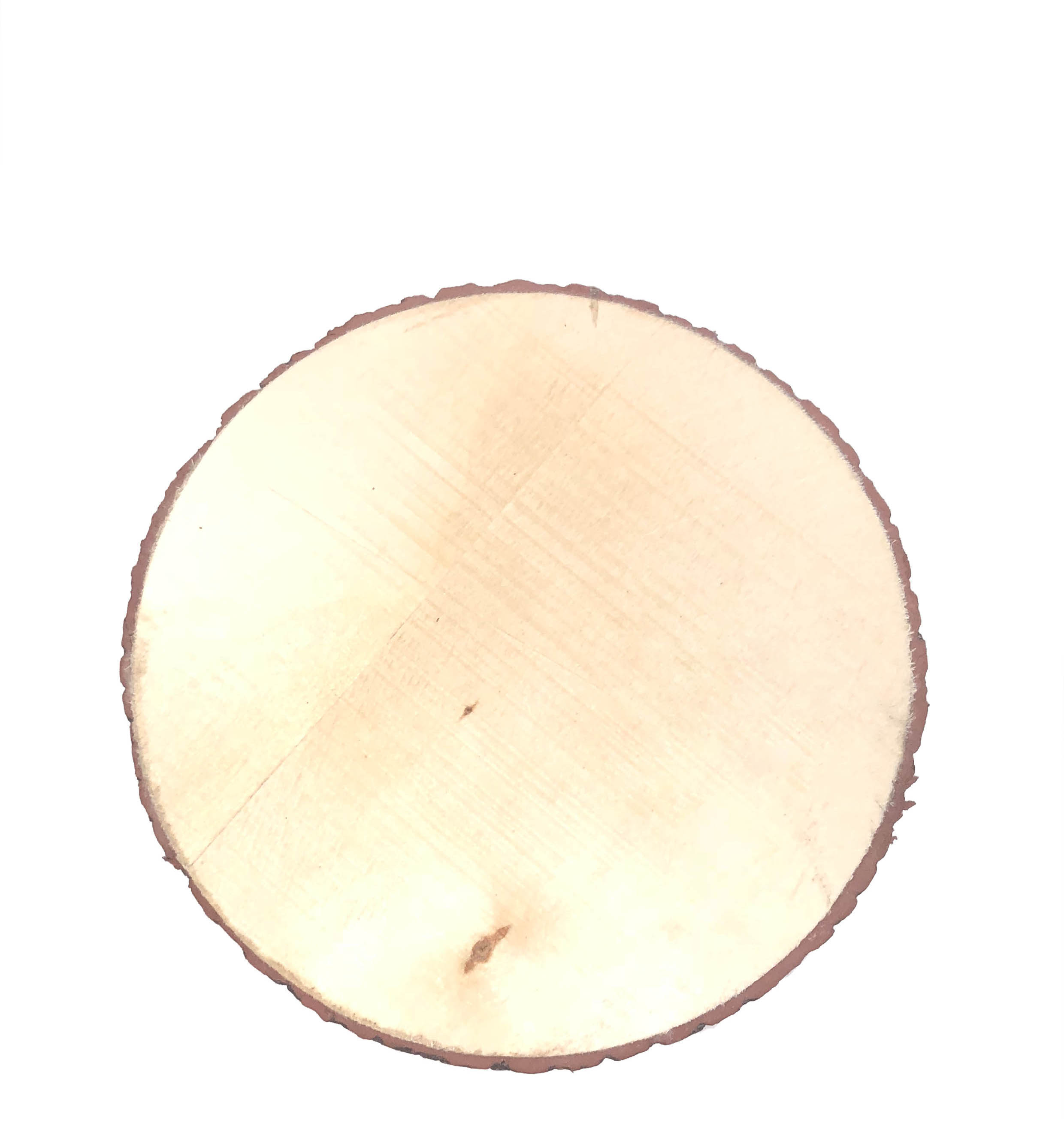 Holzscheibe mit Moosgummirinde